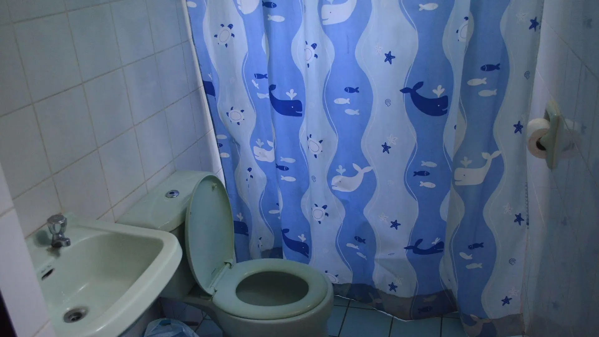 Paradise Ranch Eco Tourism Park Mabalacat 2*,